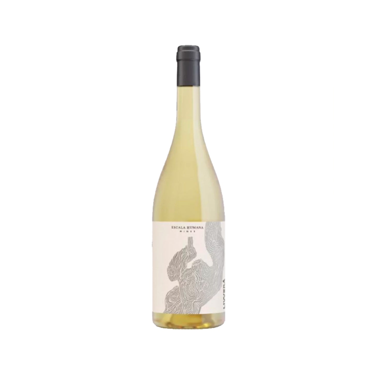 Livverá Malvasia