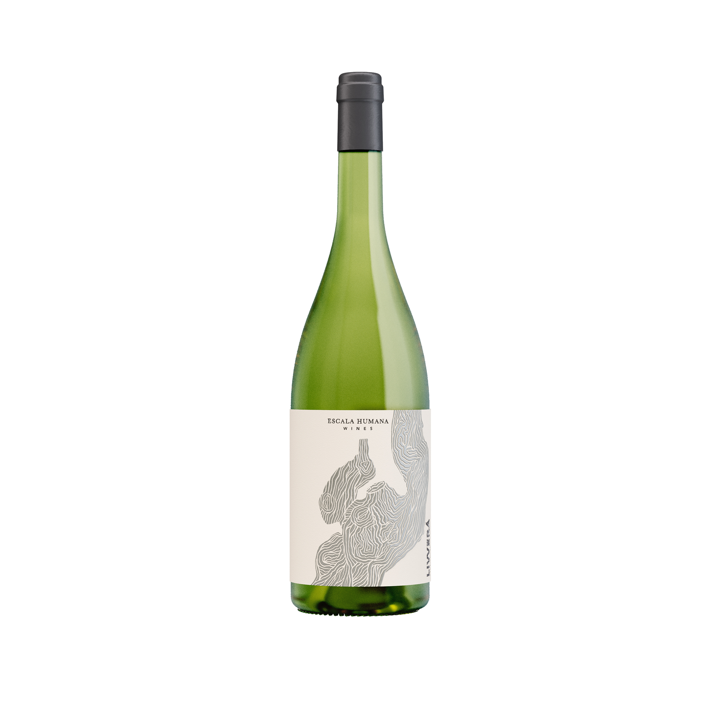 Livverá Malvasia