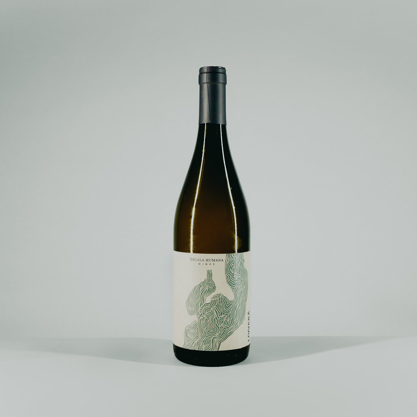 Livverá Malvasia
