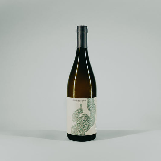Livverá Malvasia